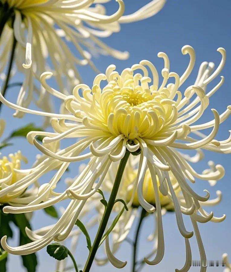 山高自有客行路，水深自有渡船人。
 
感情这事儿，哪有那么多圆满？
 
爱过的人