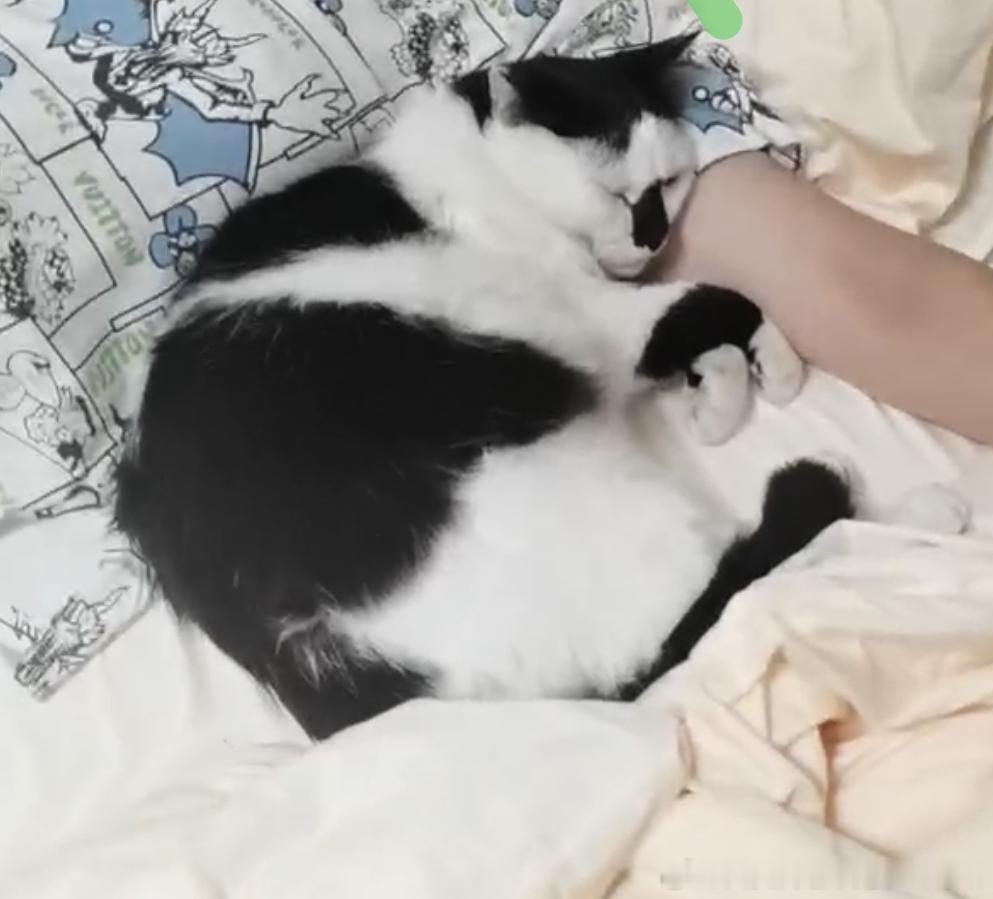 49786【丑猫】趁我妈睡觉偷偷上床偷偷摆出雷霆睡姿 