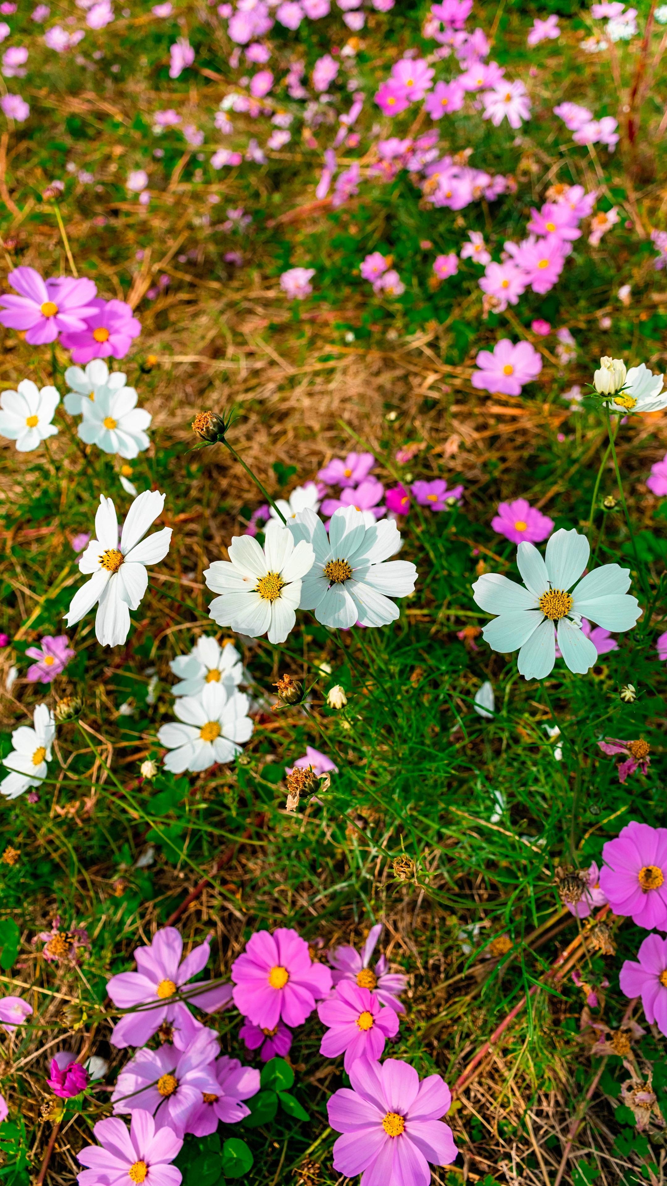 秋日里的五彩缤纷！