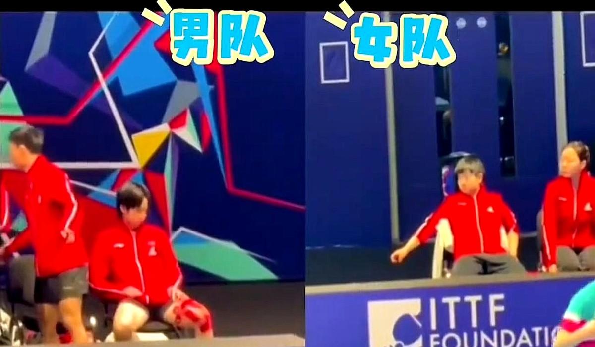 国乒女队这边，真的太“富裕”了！

伦敦世乒赛，女队这阵容简直是“超豪华”套餐。