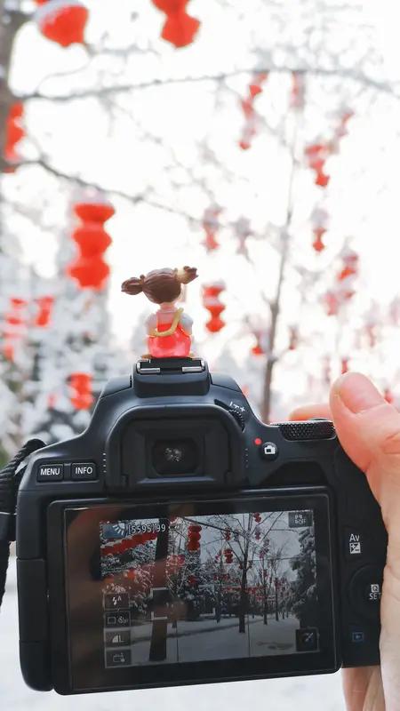 新年就是个开启新体验的好时机，我给自己安排了打卡摄影的爱好挑战。
年初一，我就带