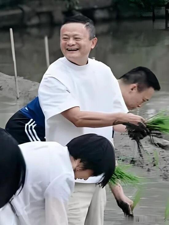 马云插秧…