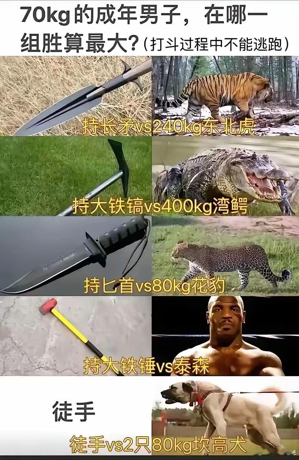 鳄鱼是不是好打一点🤣🤣🤣 ​​​