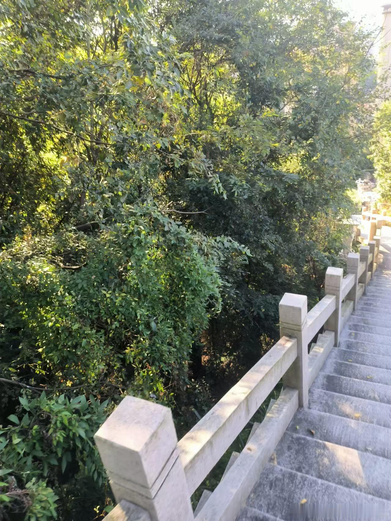 🚀生活不只有眼前的苟且📚，还有山川湖海等待征服🏔️🌊！每一次的出发，都是