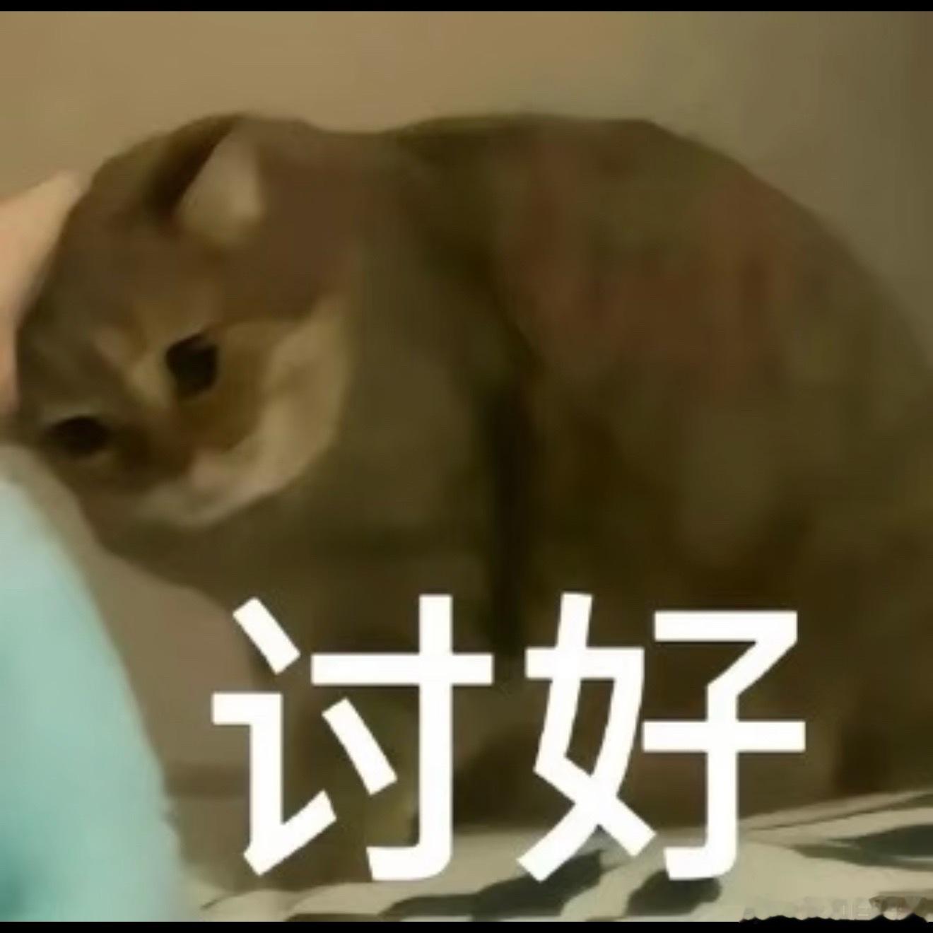 再次证明绝对不能随便说自己的电子产品坏掉的。之前我大学毕业赚了钱，买了自己的第一