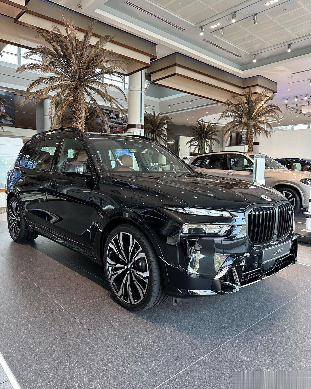 BMW X7 M60i DriveV8 TwinPower Turbo, 48V
