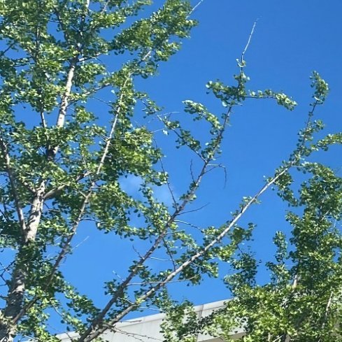 0000记住该记住的，忘记该忘记的。改变能改变的，接受不能改变的。不管生活怎样，