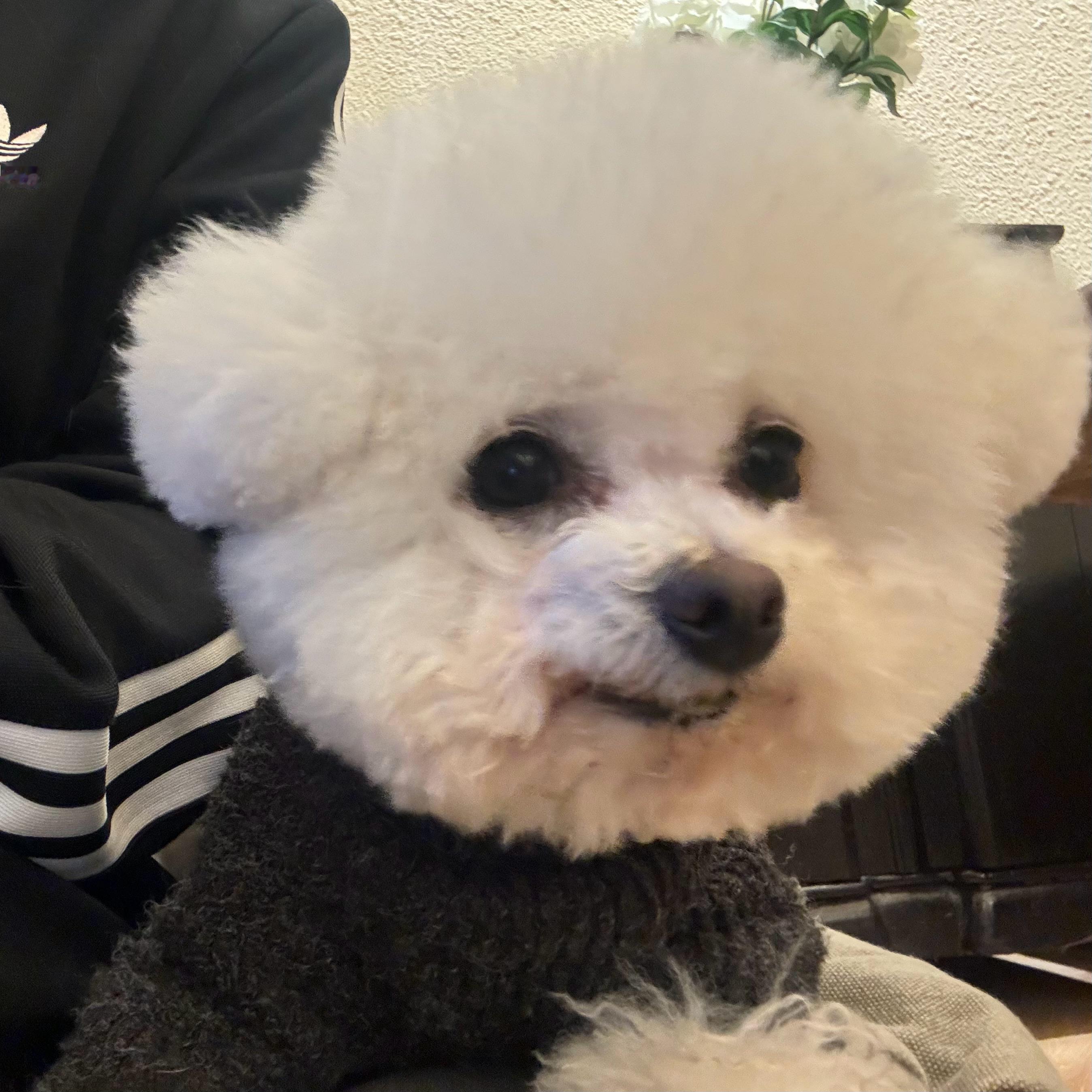 于是我点了根中南海 ​​​