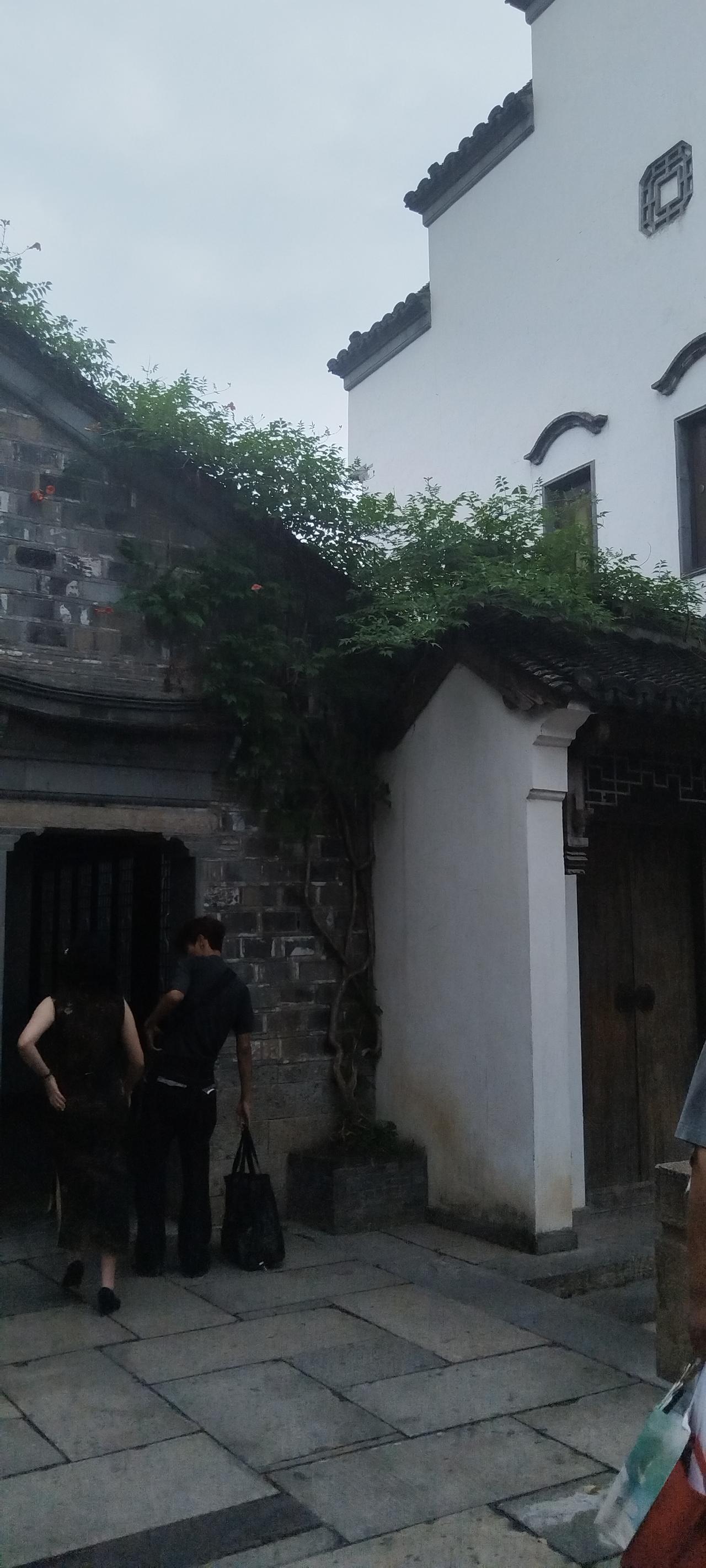 南京市老门东的凌霄花和石榴花开的正艳！