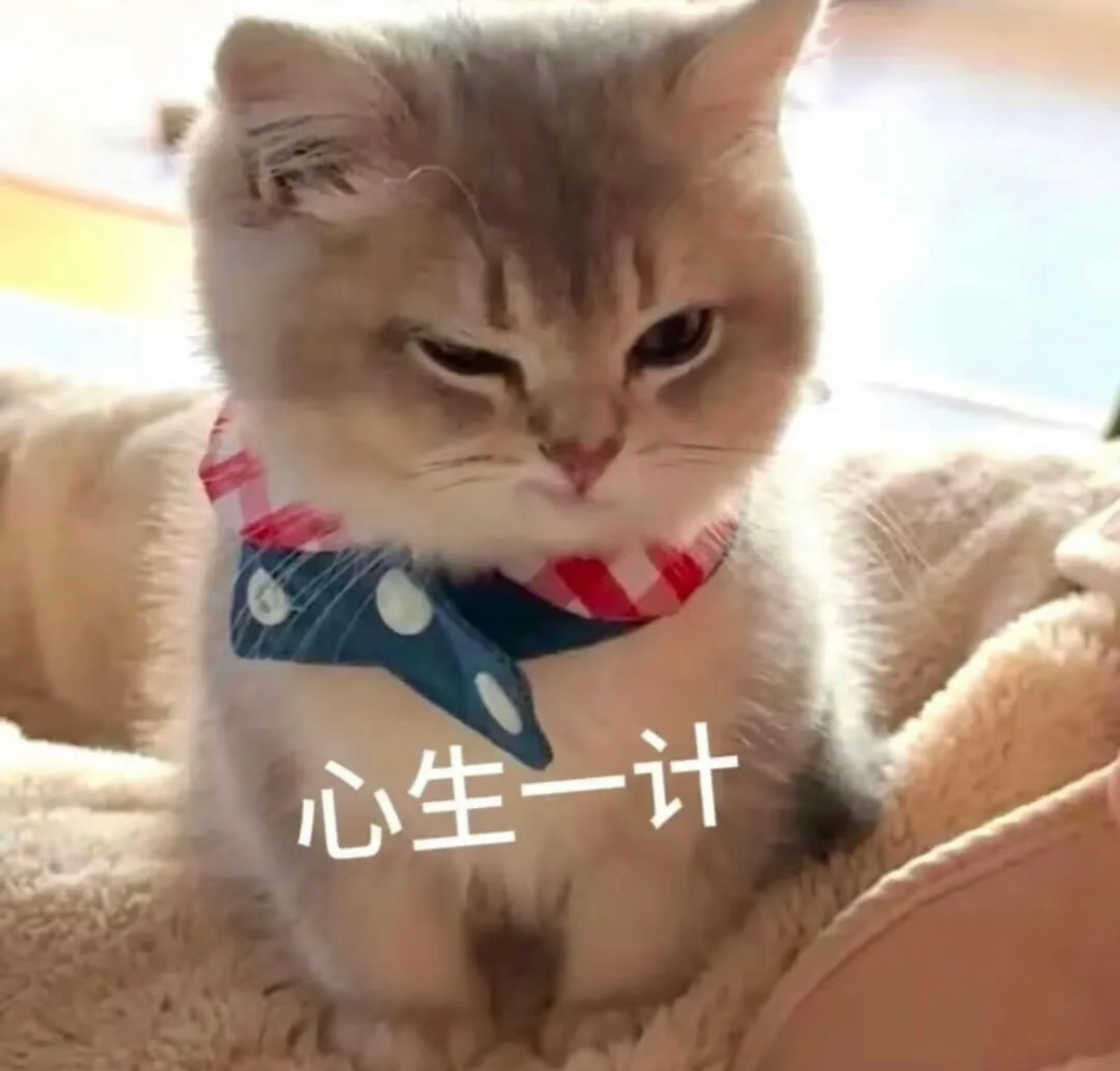 在巴厘岛确诊脏水病一点小建议，到了一个新地方如果觉得水的味道有点怪就直接换瓶装水