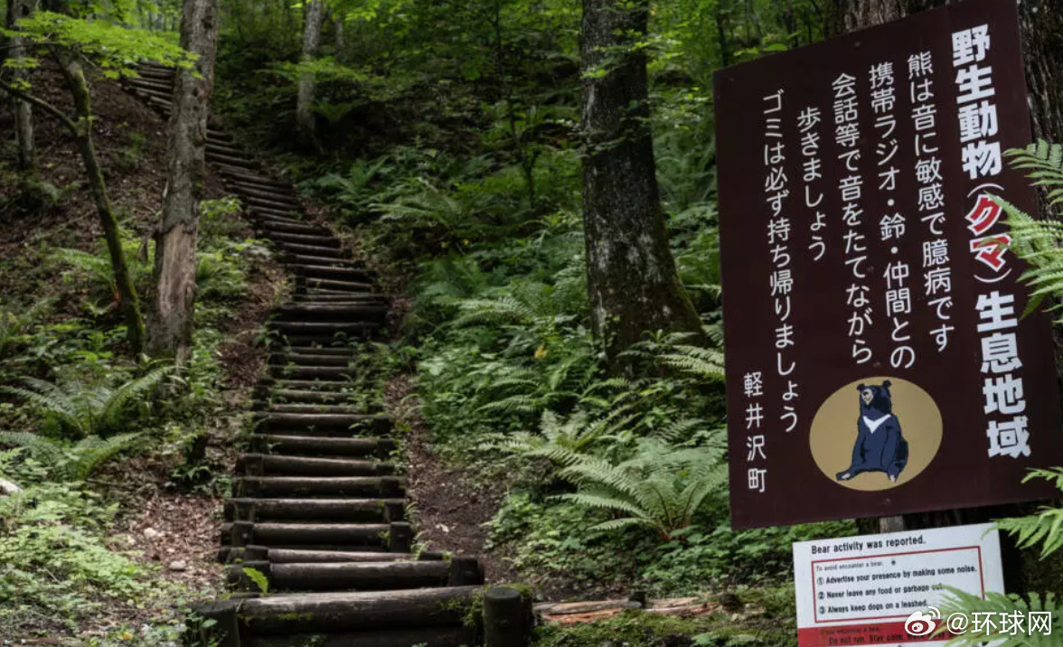 #日本今年13人因熊袭击死亡#【日本接连发生熊袭人事件，地方政府应对达极限】今年