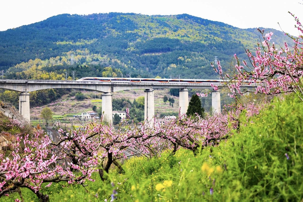 2026年清明假期临近，为满足旅客春日跨省出游、多元出行需求，中国铁路成都局集团