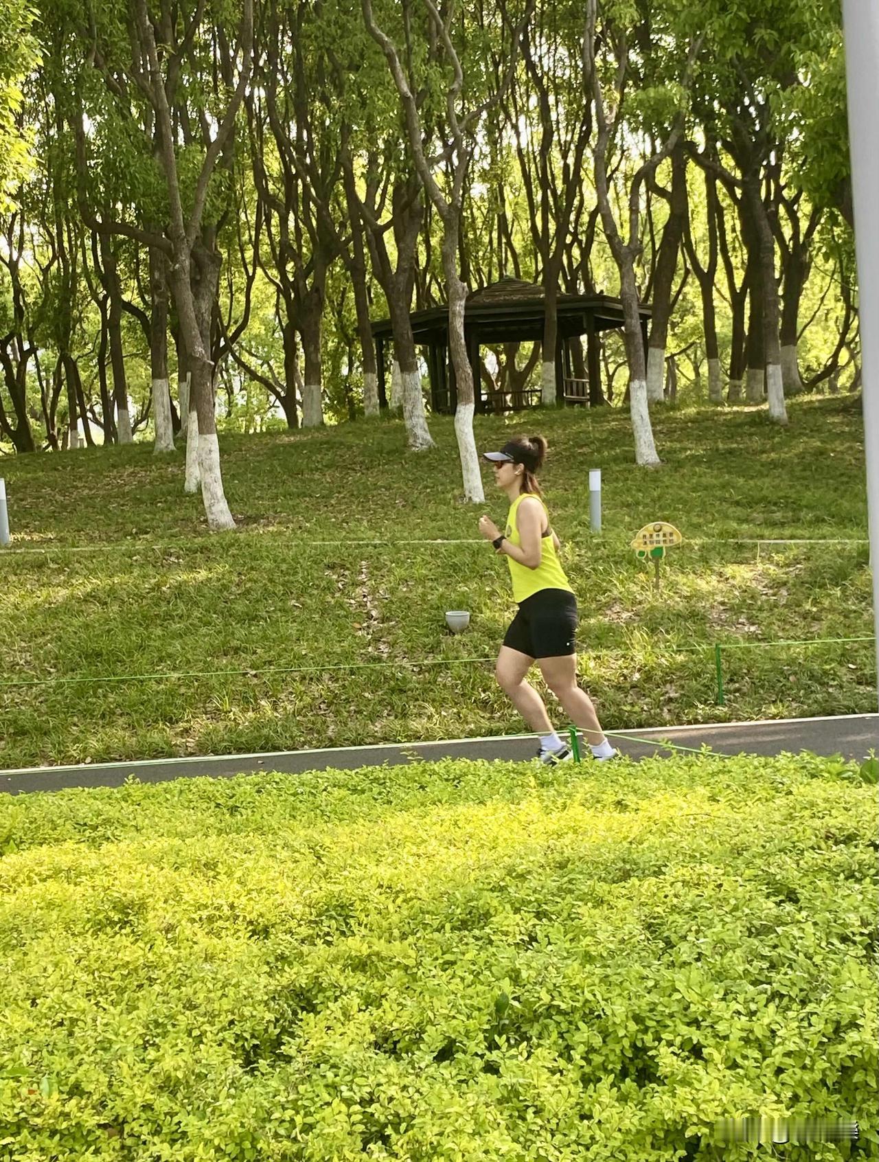 生命的动力究竟从何而来？我觉得这和“熵”有关。很多人明明很累还忍不住刷手机，看似