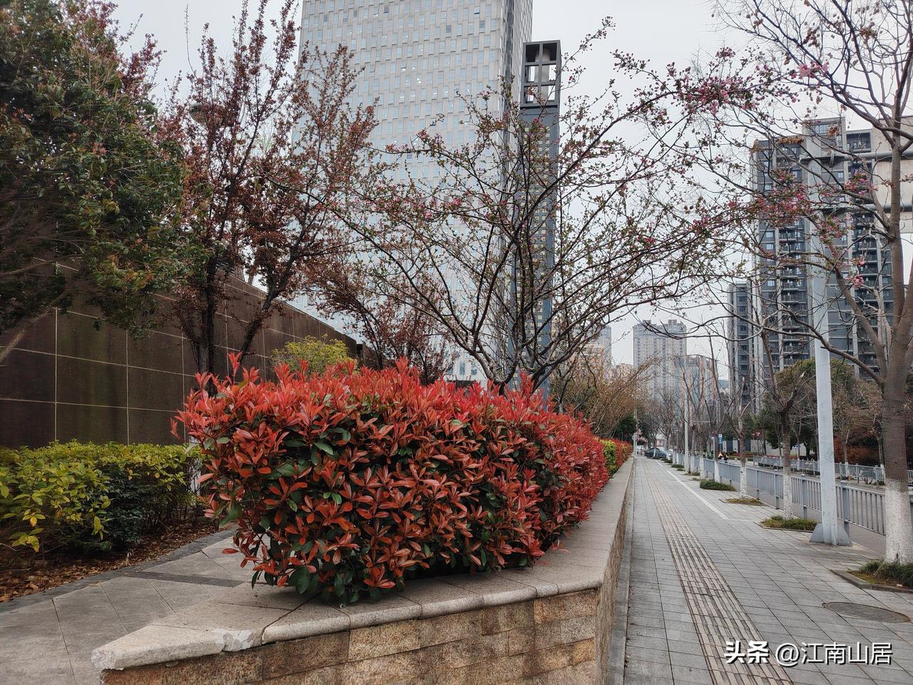 年轻人，去公司面试的时候，尽量不要让其他人陪着进公司大门。因为，这样会降低HR对