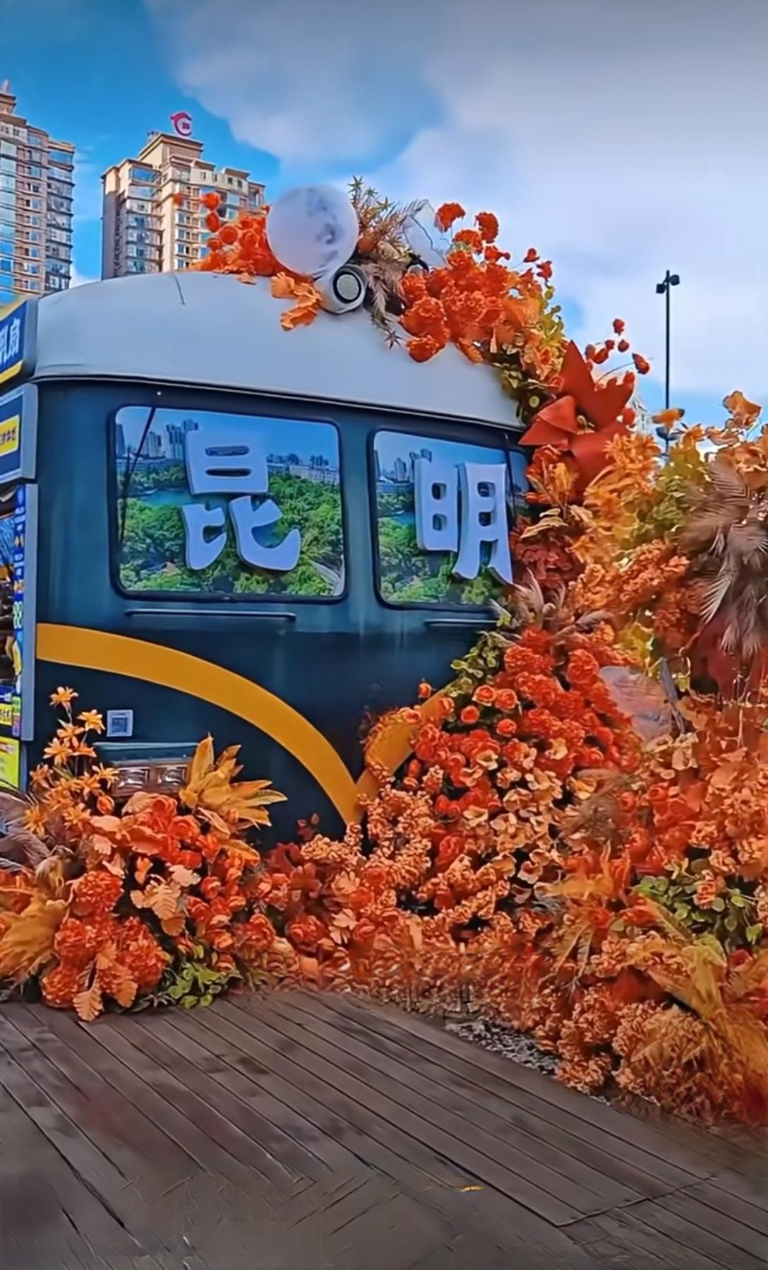 云南没有地铁的城市，你全部都去过没？1西双版纳，2大理，3保山，4玉溪，5昭通，