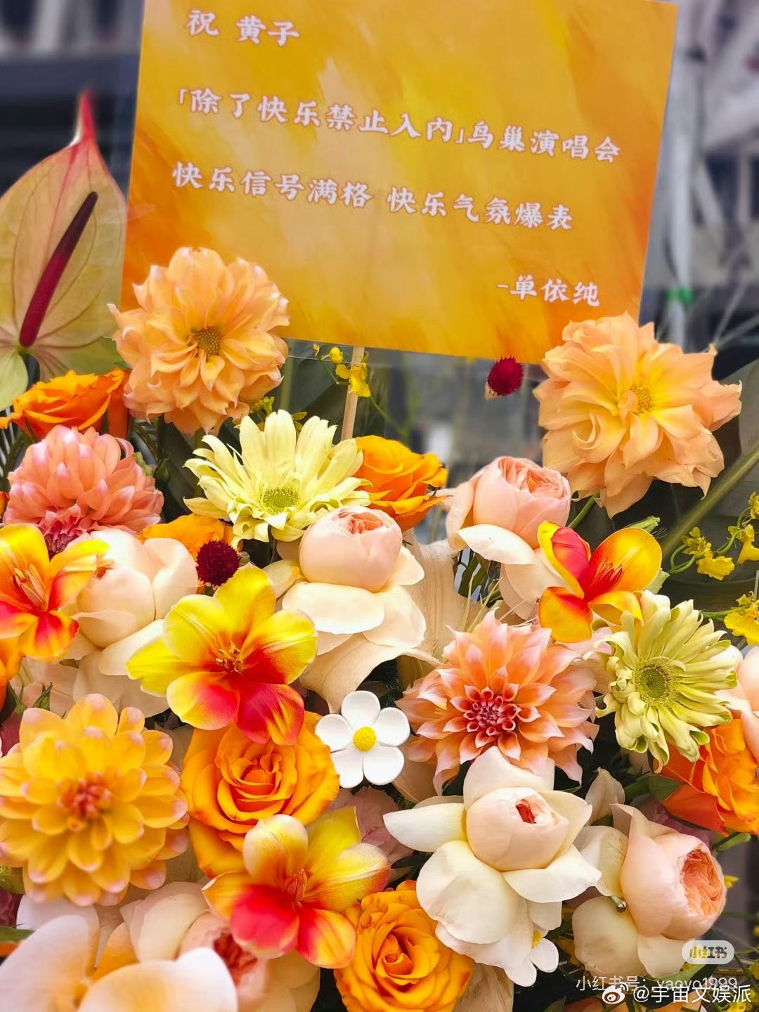 单依纯给黄子弘凡送的花篮单依纯给黄子弘凡送的花篮是应援色  单依纯给黄子弘凡北京