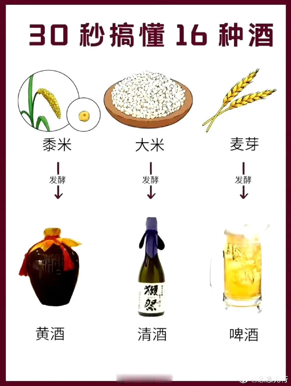 一次性搞懂16种酒，吹牛更显学问