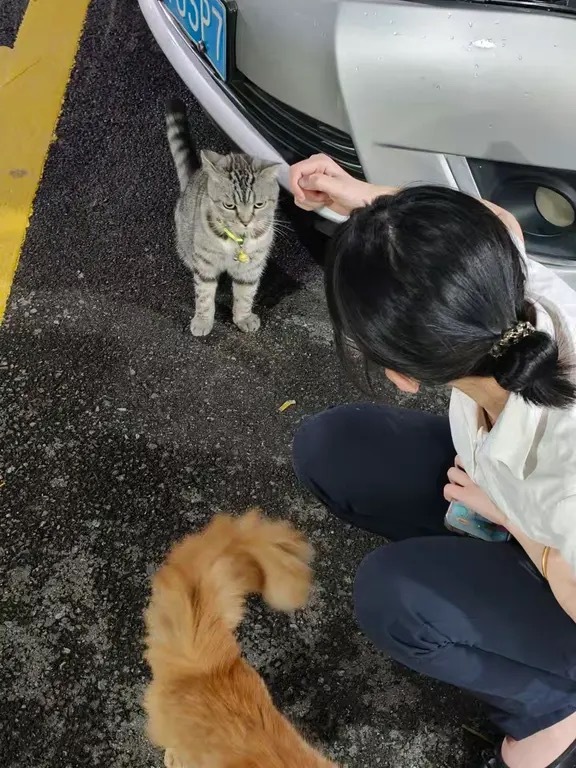 知识不进脑怎么办 