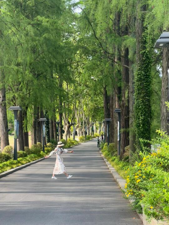 🌿去了99次东湖！最爱这条徒步线路！附攻略