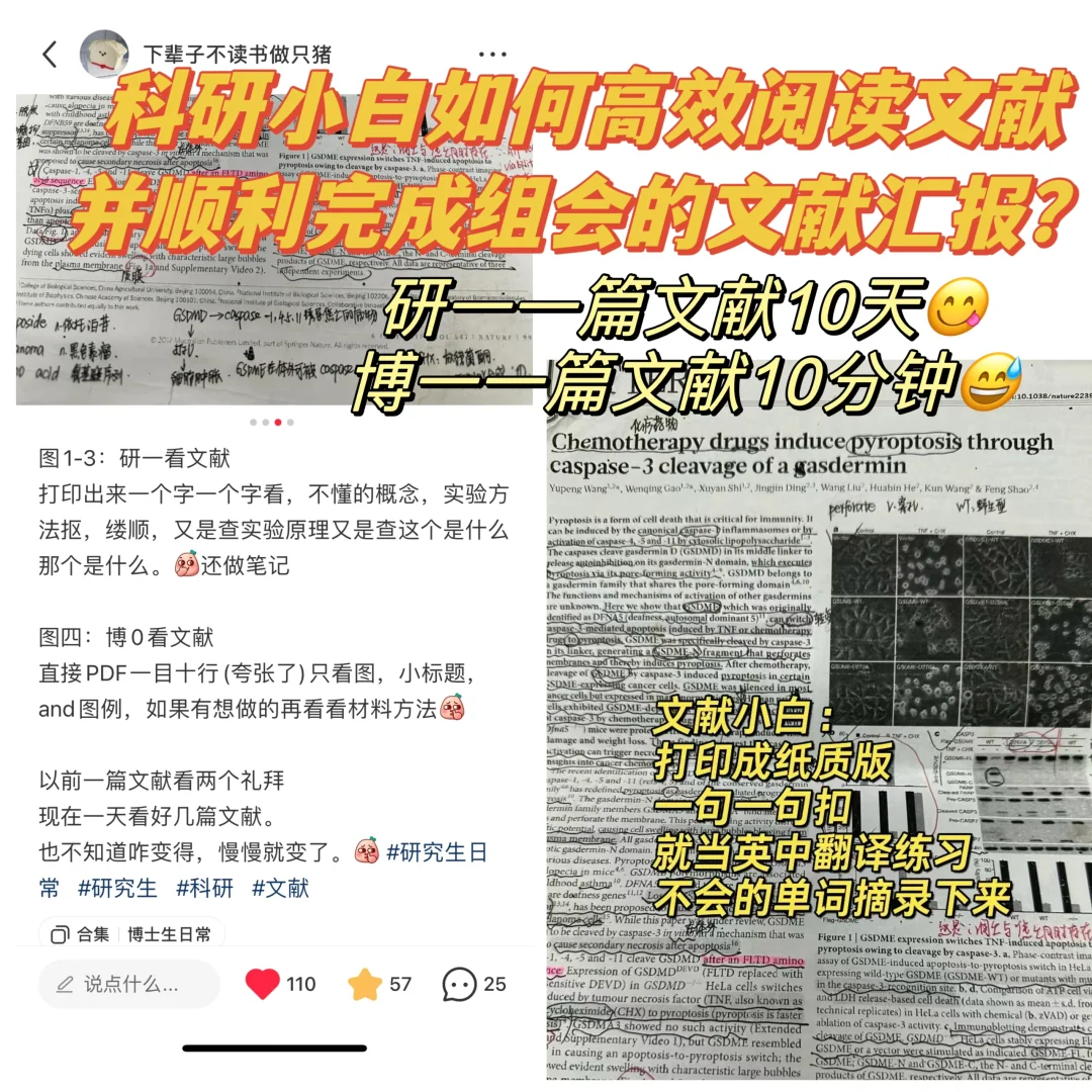 针对不同的人不同的文献汇报方式⚠️