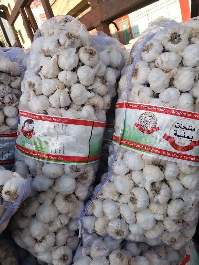 也门大蒜，也门12年来首次出口农产品

“被盎格鲁-异教-犹太复国主义集团（指美