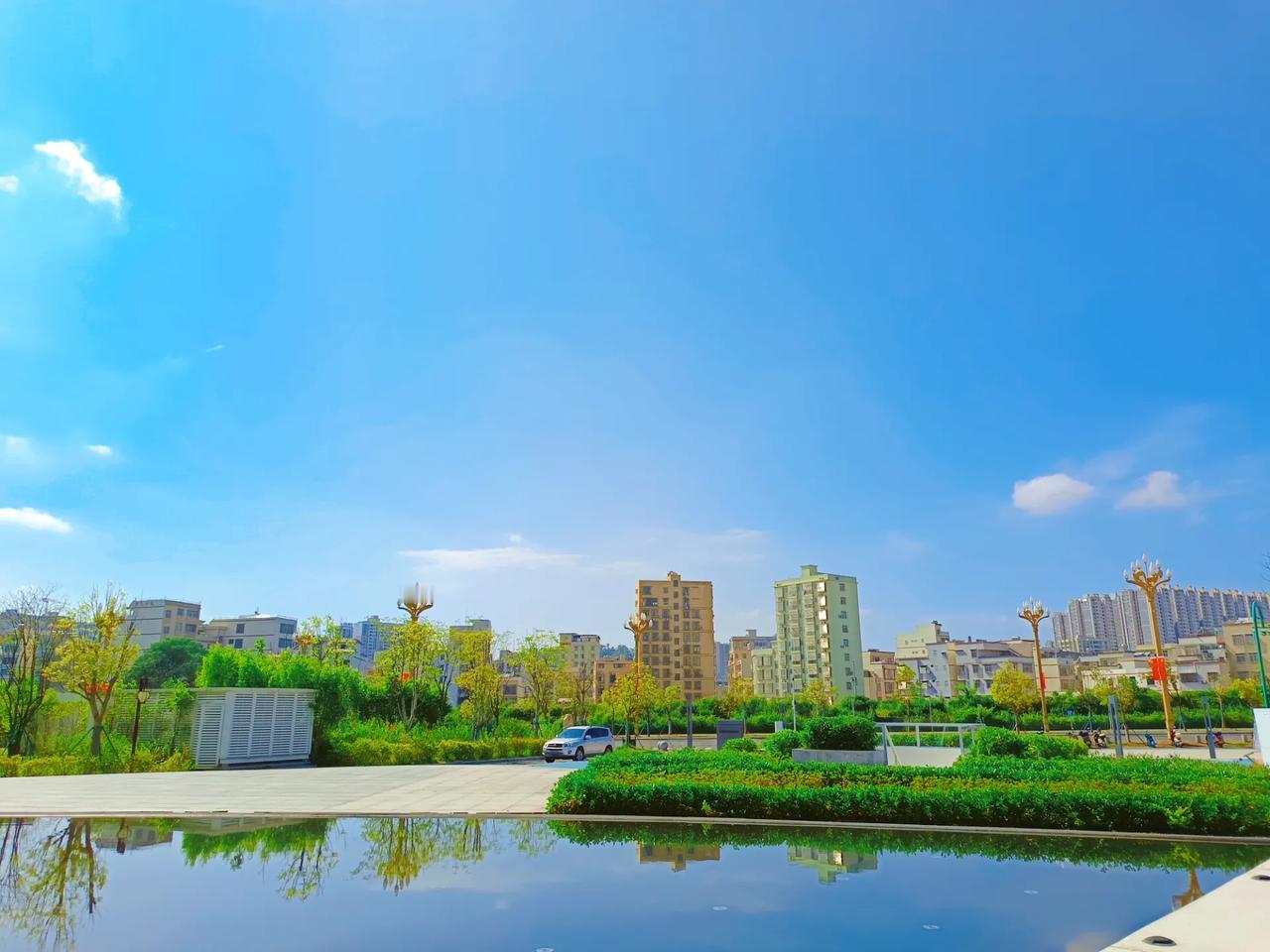 人这一生，

没人需要你，

就活成了空气？

大树不因为没人靠，

就停止生长