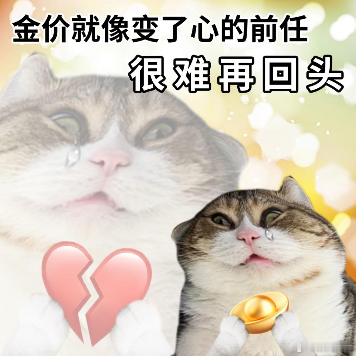 金价波动金价暴涨让南非老矿区焕发生机看看黄金这涨势，连南非沉寂多年的老矿都重获生