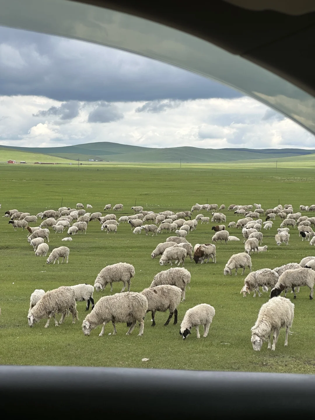 来到了小学课本的场景中