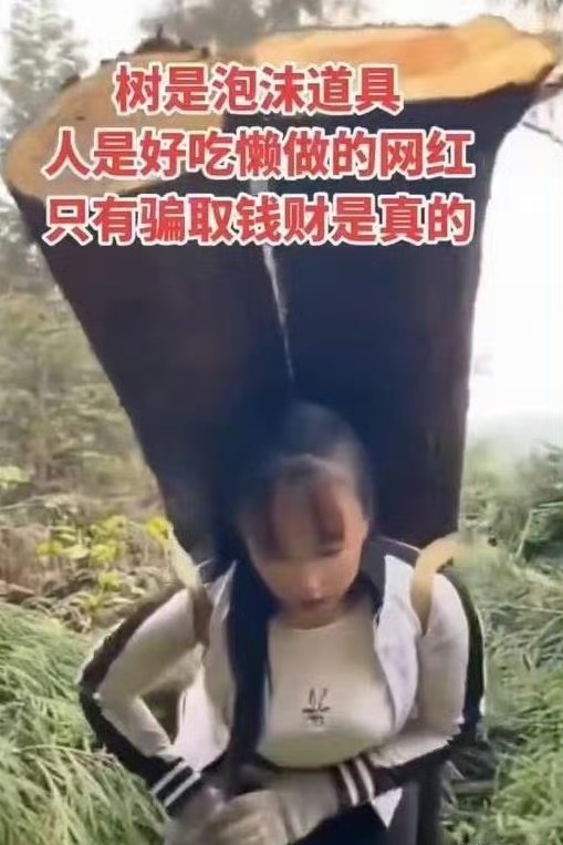 就是鲁智深活着，也扛不起来这两颗树！网红蹭流量，依然到了这种地步！！ ​ ​​​