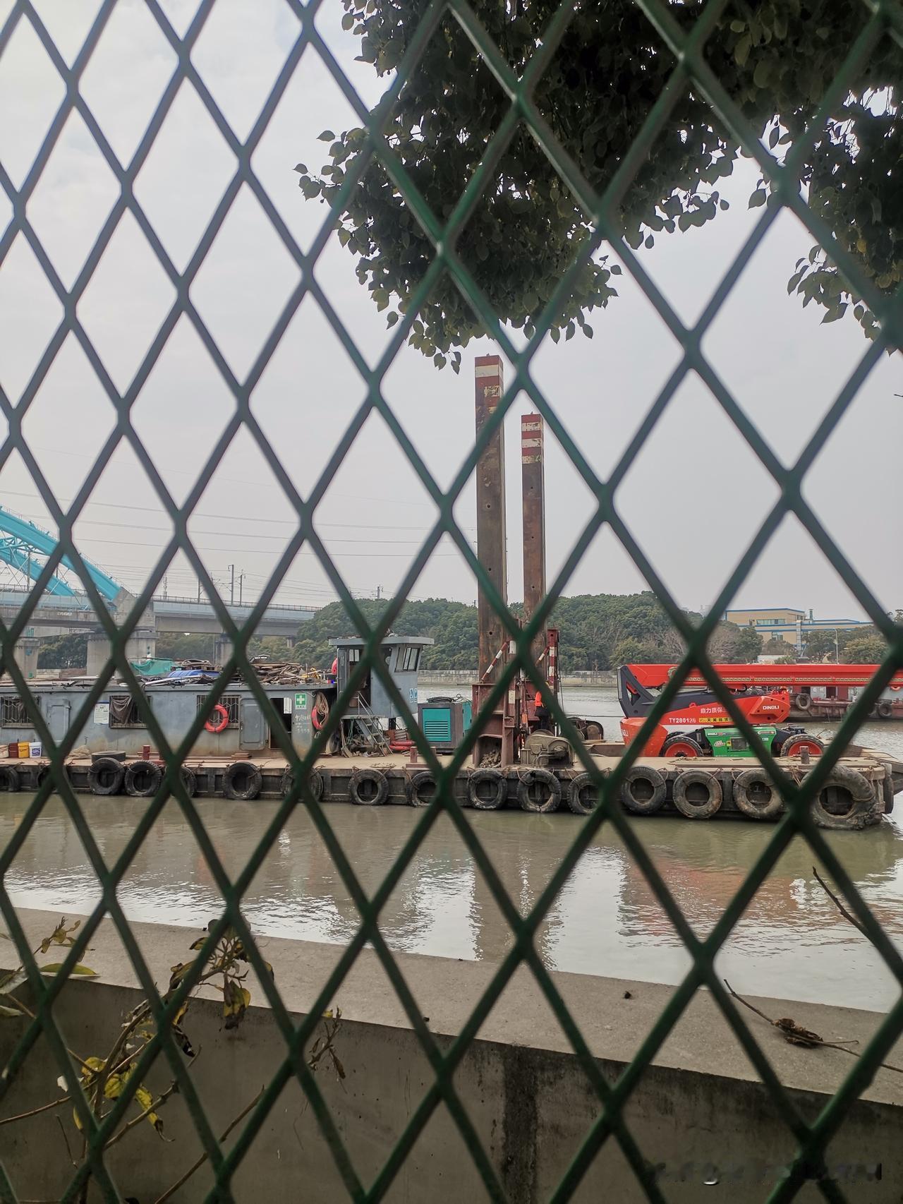 今年冬天的不同分享今日随手拍的照 随手拍记录美好的点滴 晒晒你镜头里旳景色