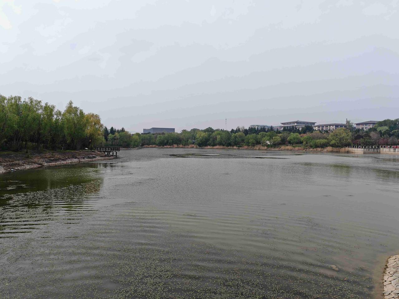 带定位晒今日生活 今天状态简直是🥲强颜欢笑，外面还一直🌧下雨，心情也跟着湿漉
