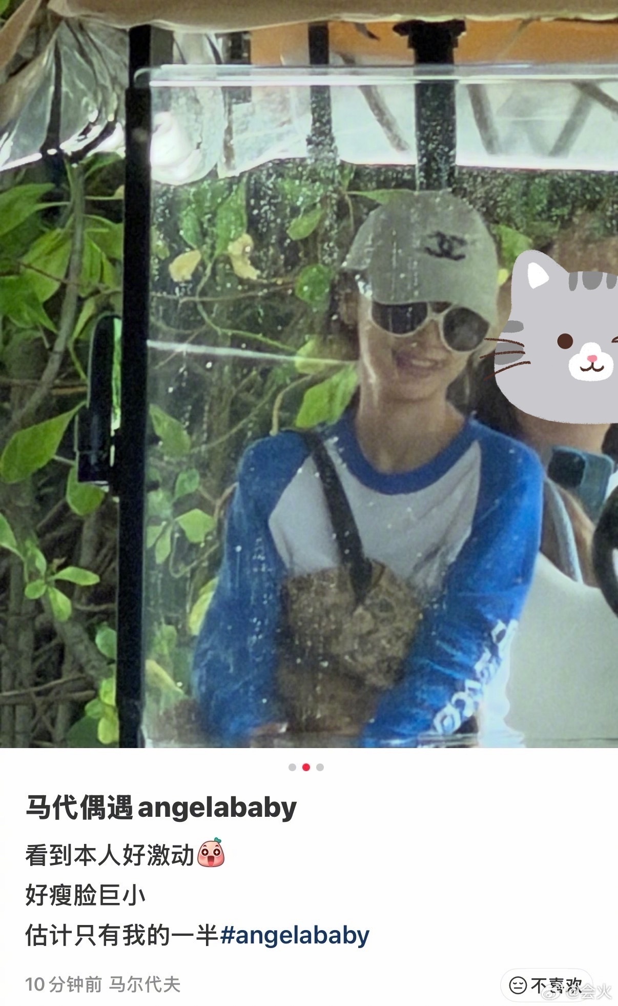 网友马代偶遇angelababy马尔代夫偶遇angelababy度假网友马尔代夫