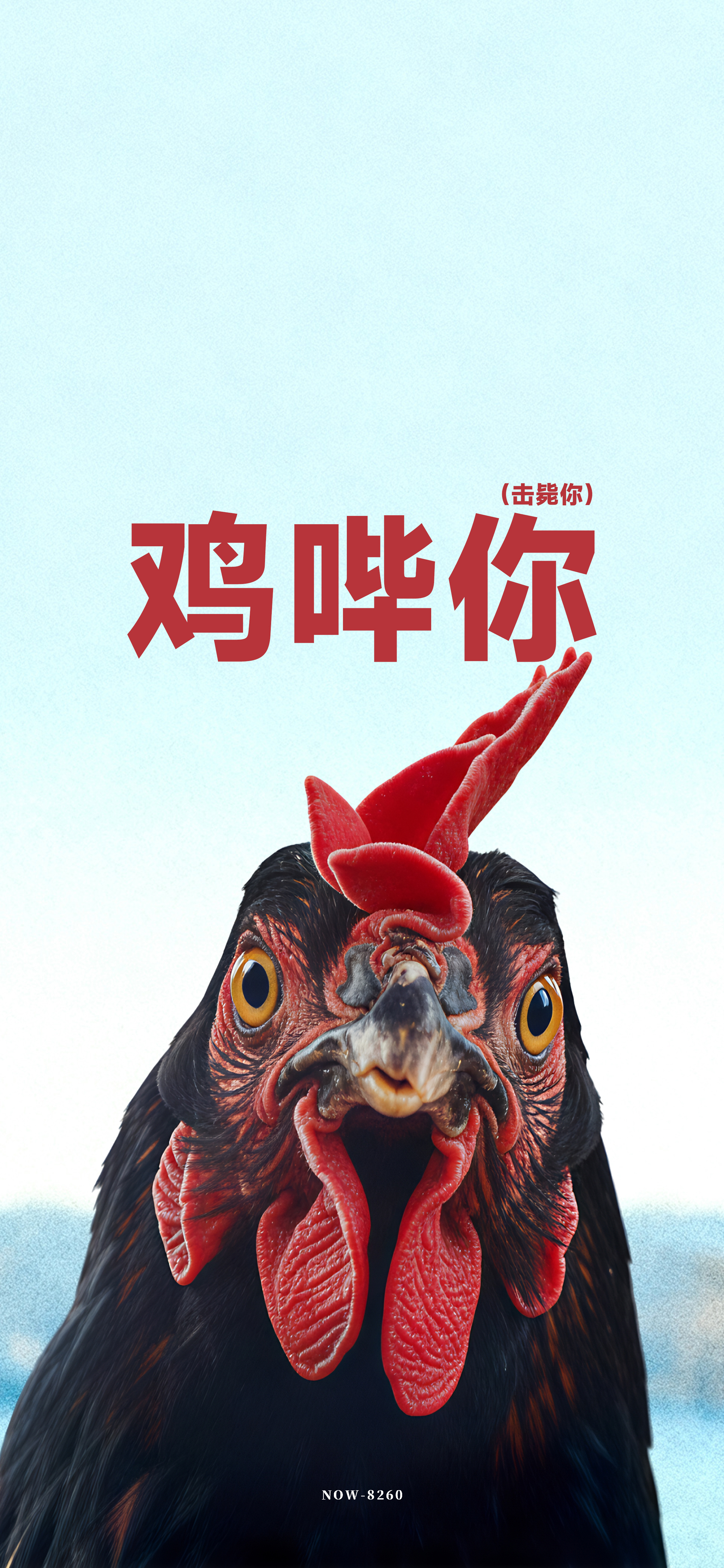母鸡啊  文字壁纸好久没做文字壁纸了，做期恶搞的 看看效果🐔 