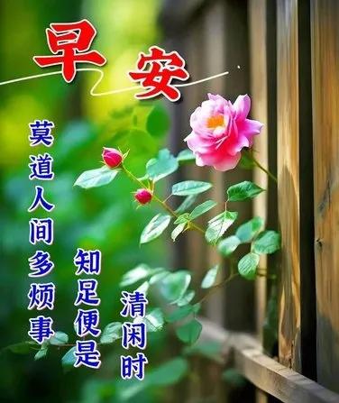 #分享早安美景#