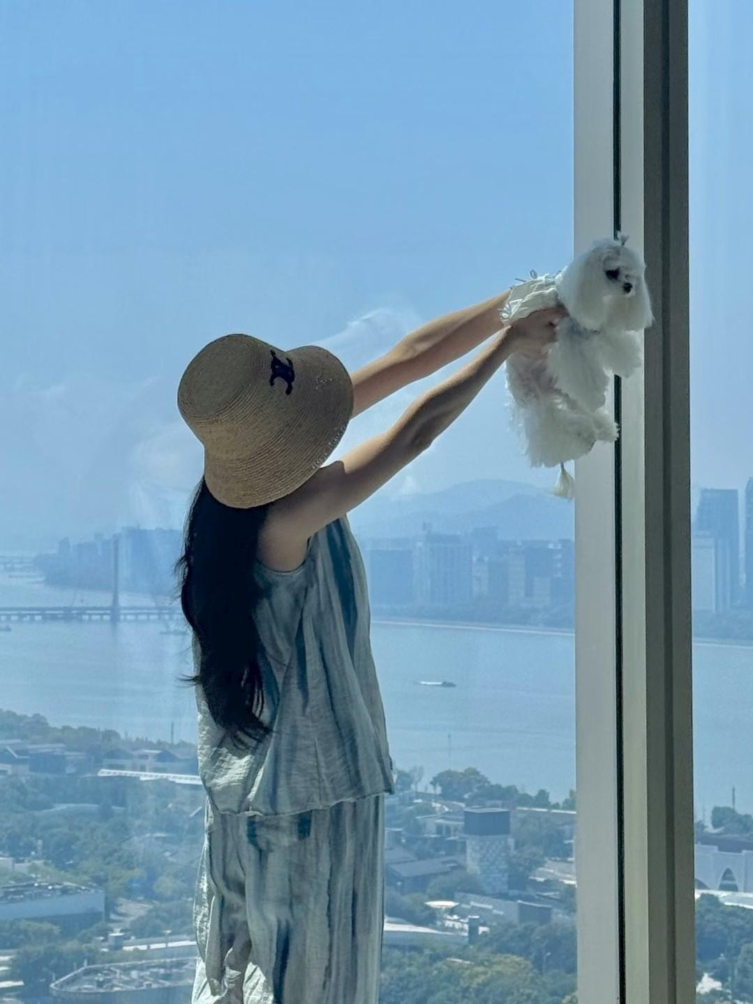 为什么真心话总在删除里，因为成年人的感情，连试探都要穿一件玩笑的外衣”