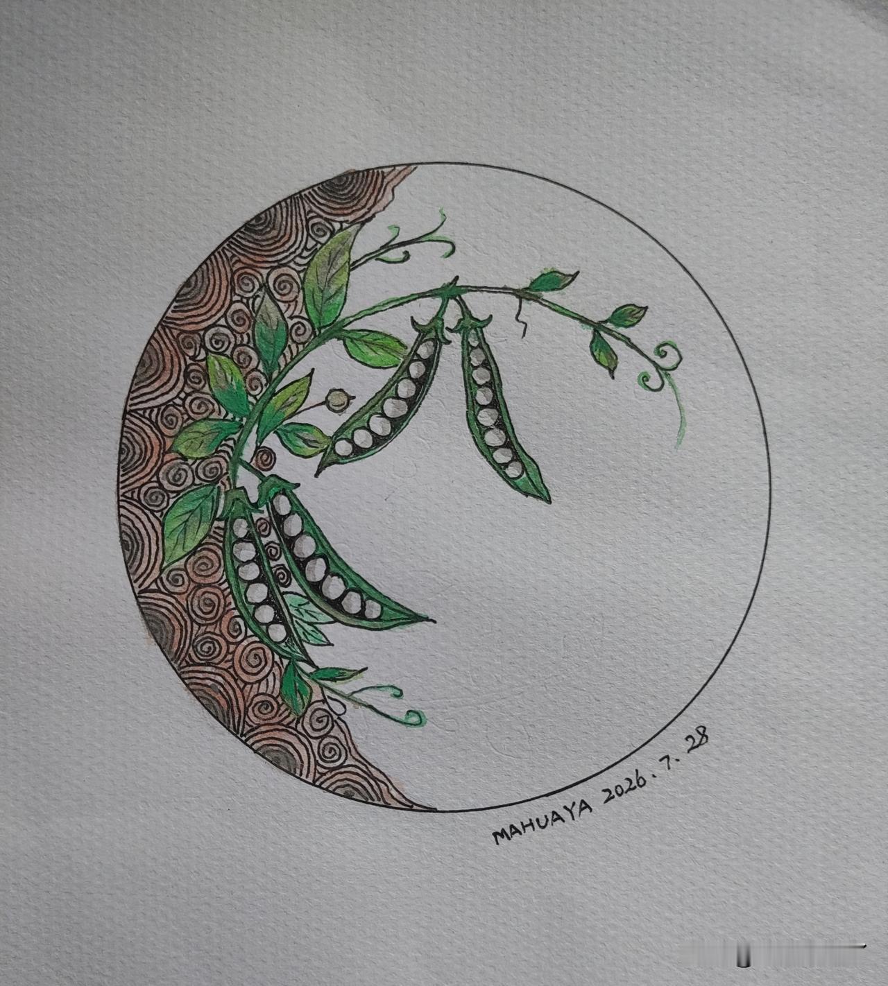 我这几天又睡不好了。
不知道是腰的原因还是天生一到夏天我就睡不好。两个小腿不舒服