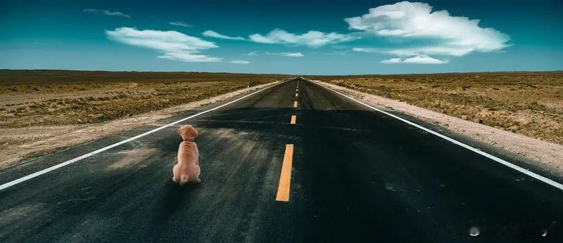 最近真的越来越有这种感觉：
赚钱变成了一件让人心里发虚的事。

不是说我不努力，