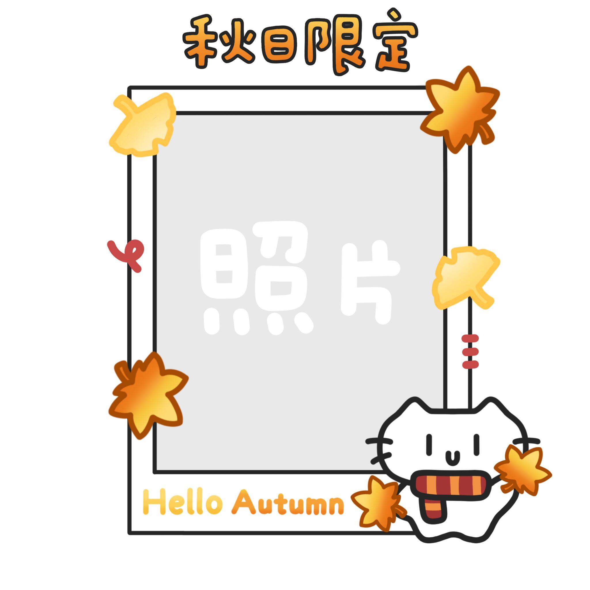 小猫拍立得素材⌯^ᴗ ​​​