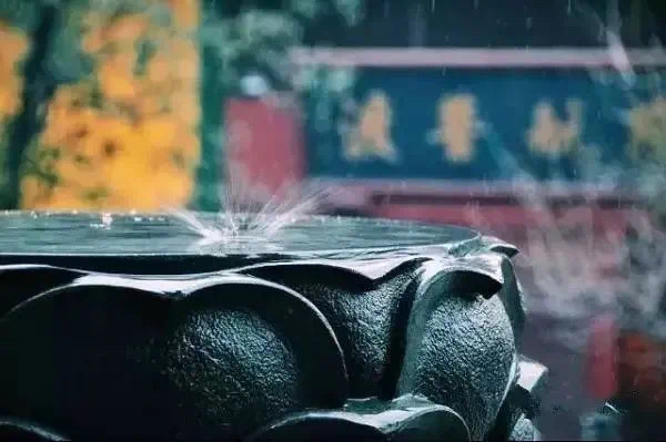学佛人不能把任何一点一滴不好的心态放在心中，去伤害自己。你把对別人的恨放在心中一