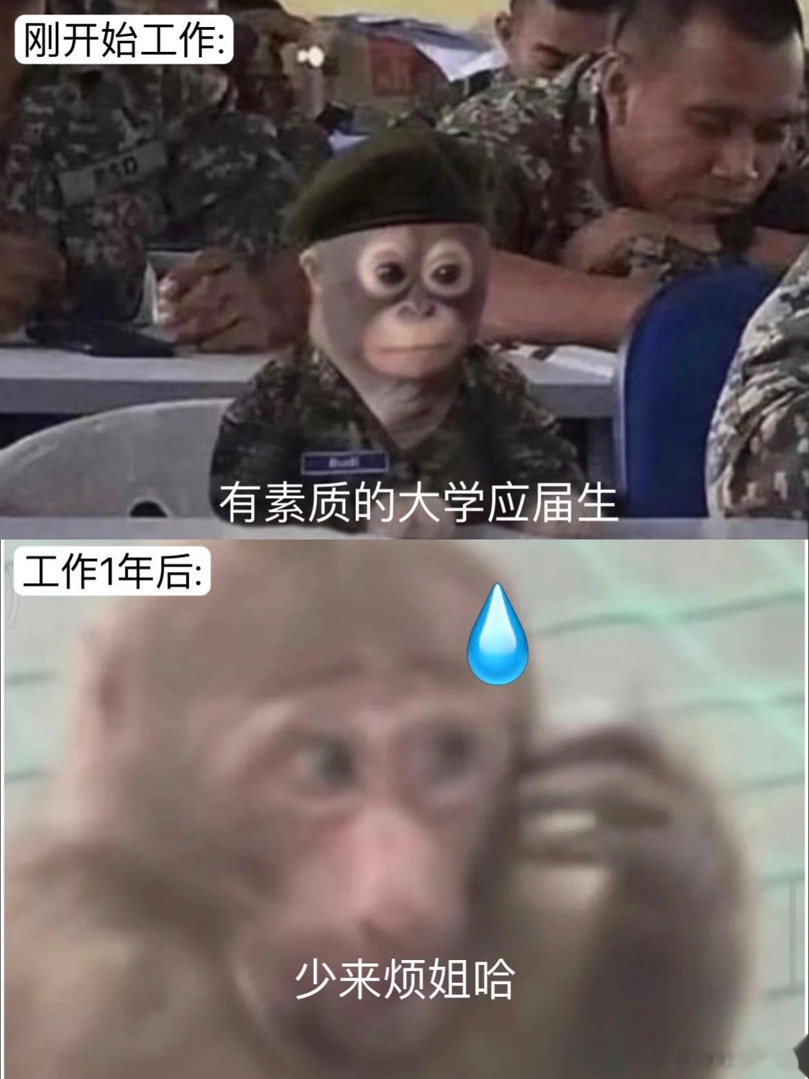 刚开始工作的素质VS工作1年后素质 ​​​