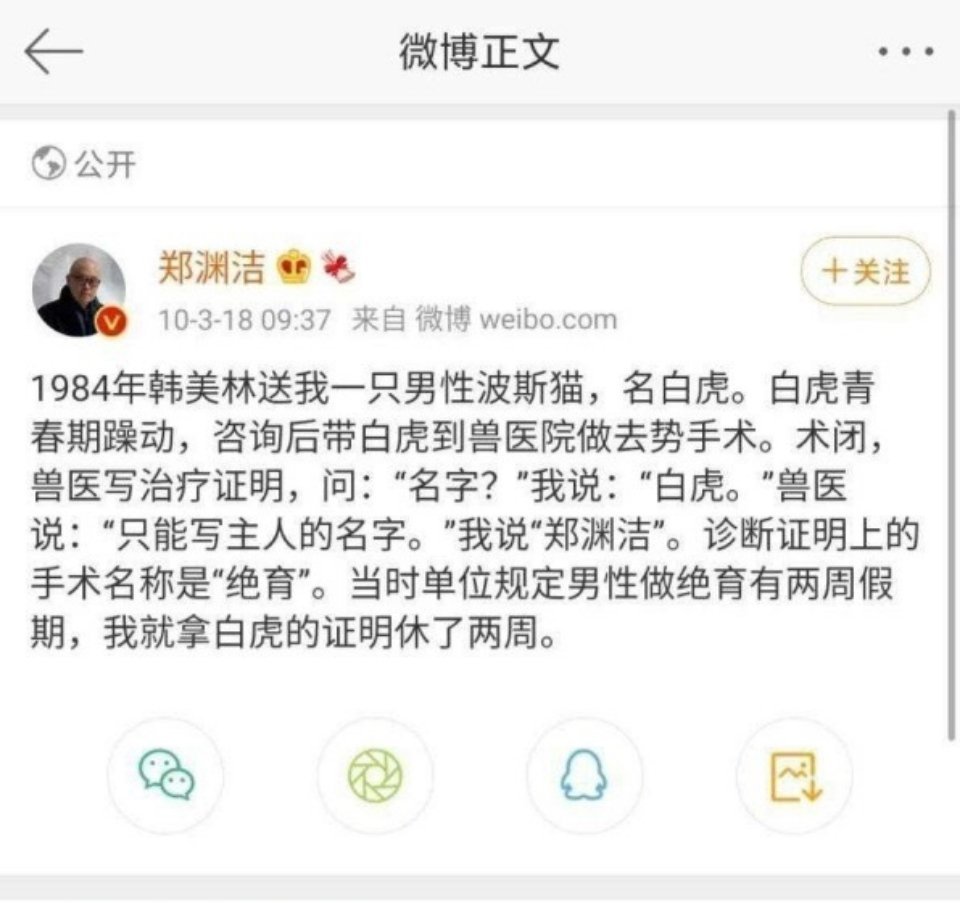 1984年韩美林送我一只男性波斯猫,名白虎。白虎青春期躁动,咨询后带白虎到兽医院