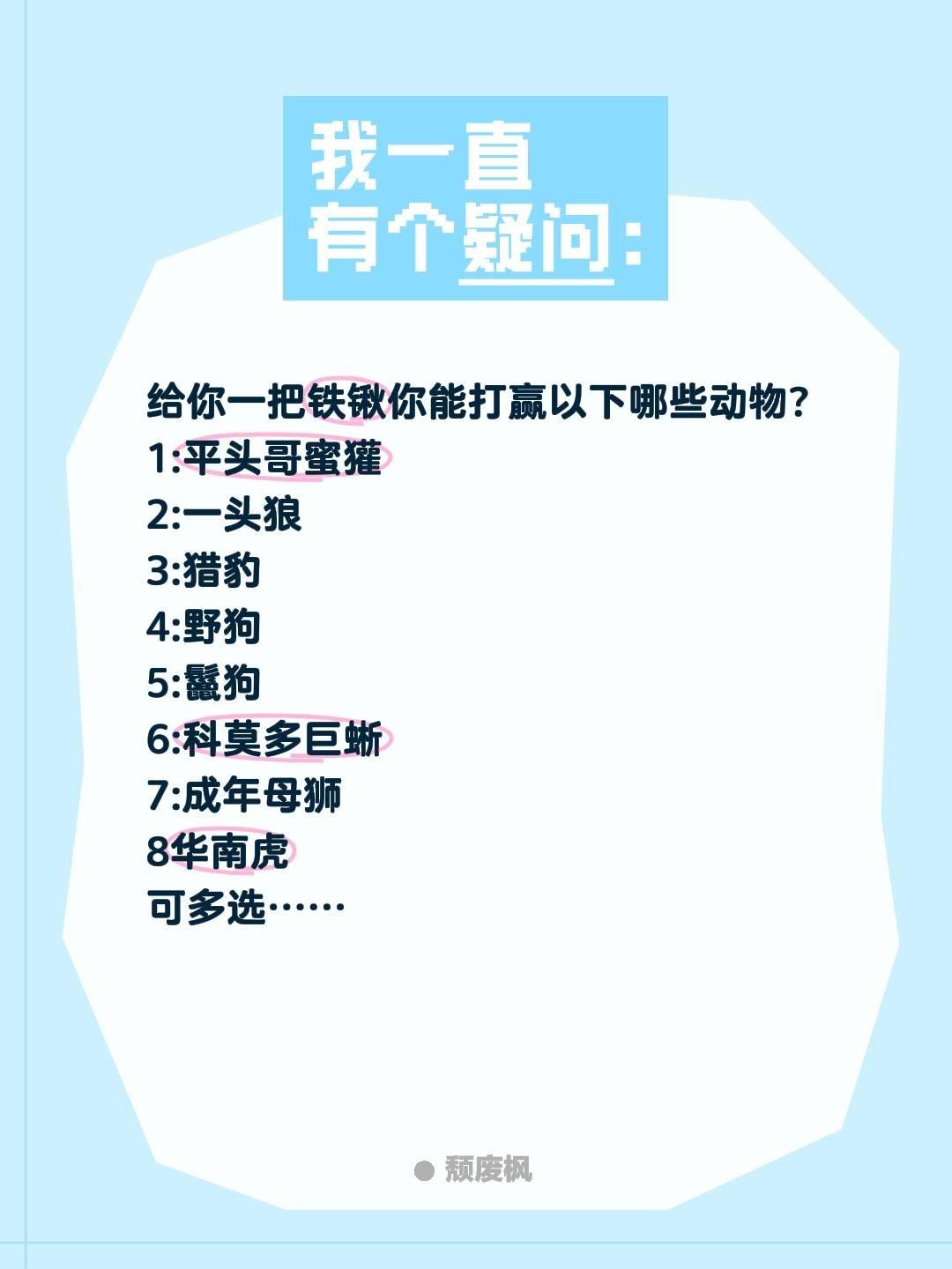 给你一把铁锹你能打赢以下哪些动物?
1:平头哥蜜獾
2:一头狼
3:猎豹
4:野