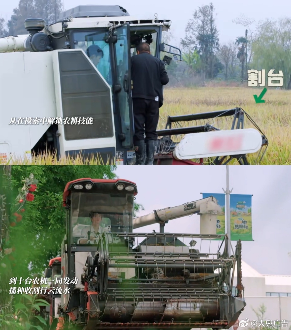 种地吧转场回望四年  种地吧 回望四年漫漫时光，后陡门一草一木皆是回忆，少年历经
