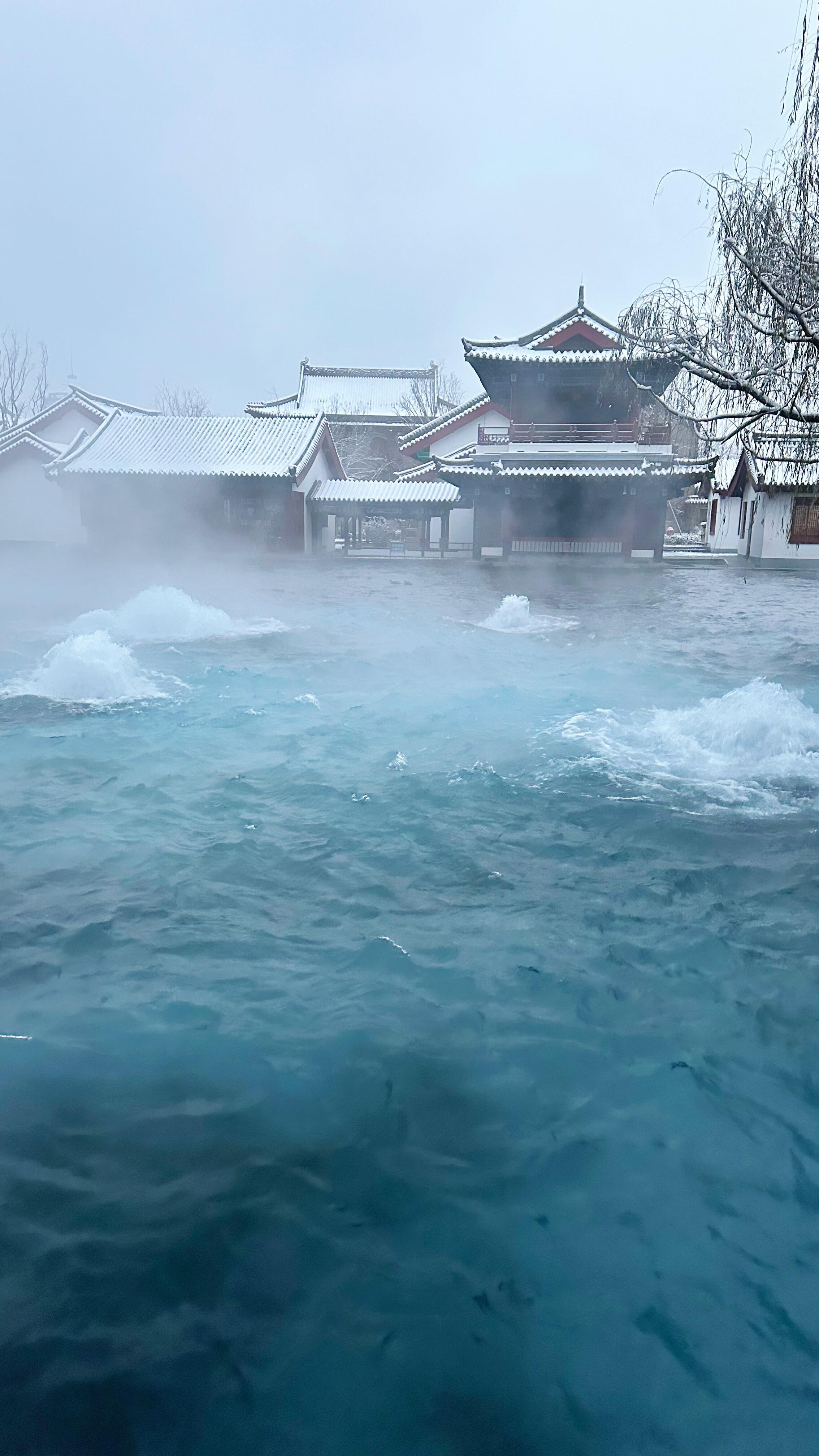 老舍笔下济南的冬天照进现实一下雪，老舍《济南的冬天》照进现实 