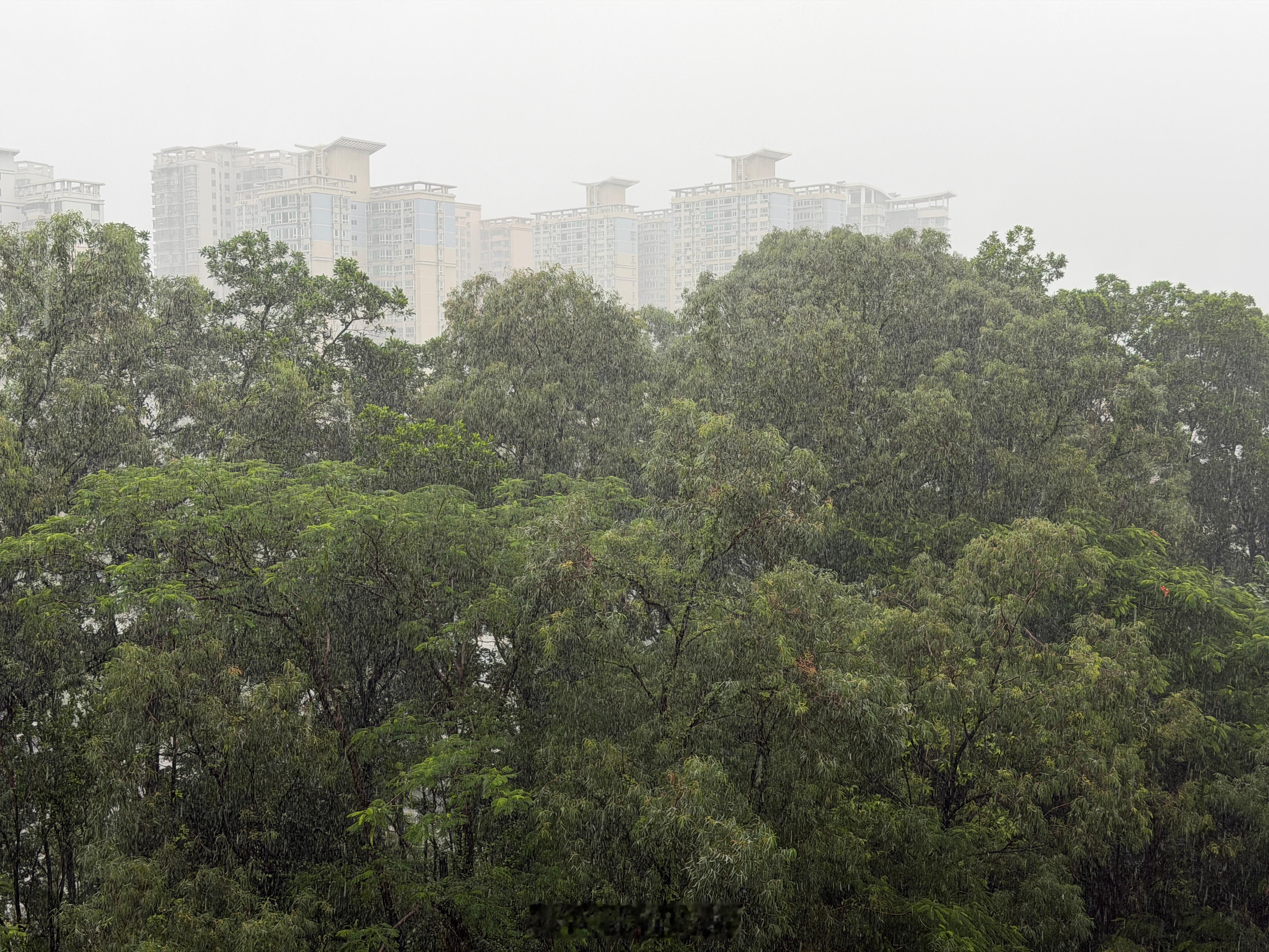 下这么大雨的时候到底该不该叫外卖？叫的话，很多人说外卖小哥很辛苦很危险都不叫的话