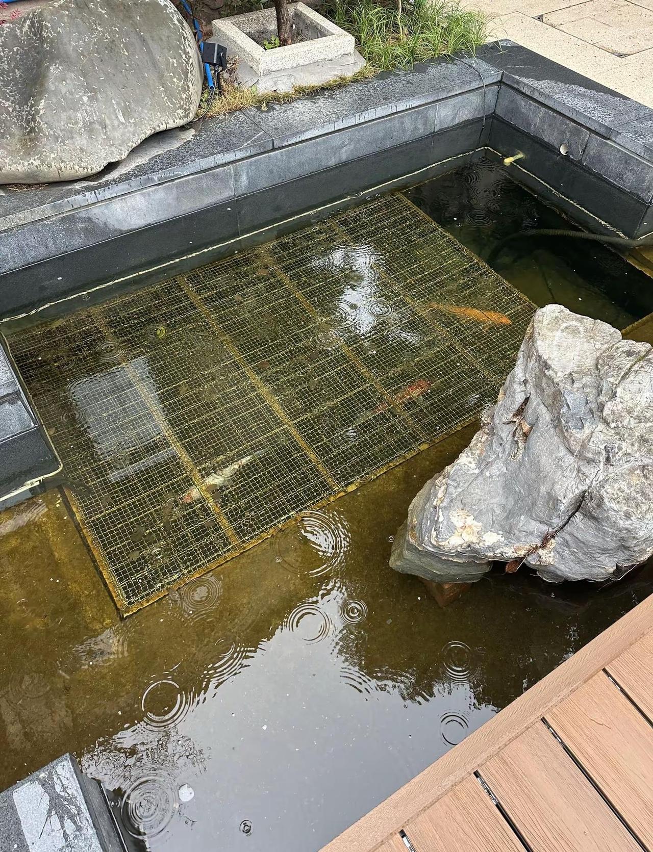 我常以为，那种看透世事后依然温润的人是天赋异禀。这两年才知道，那不是天赋，那是修