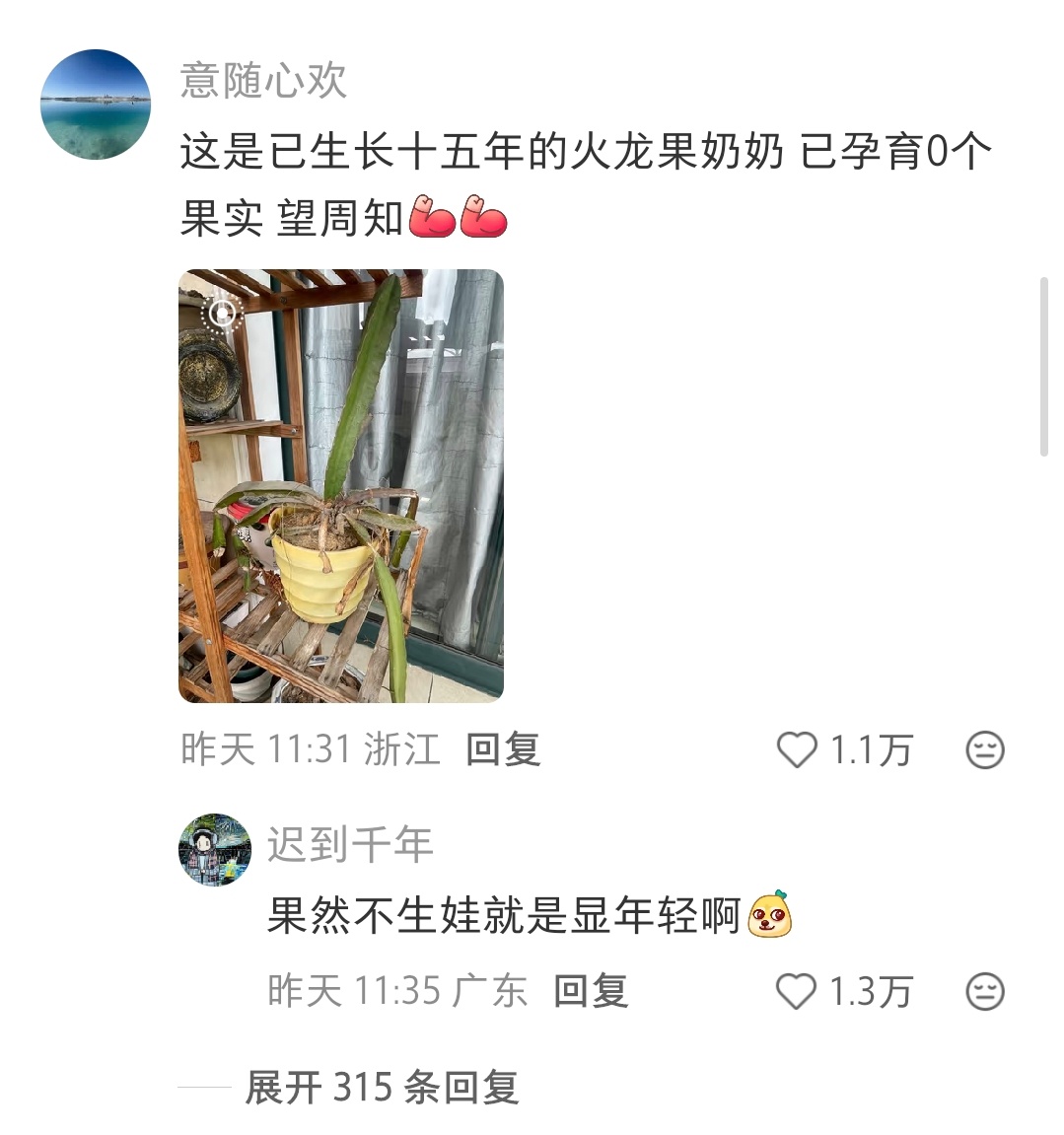 评论区的成果我都能一口气吃好几亩 