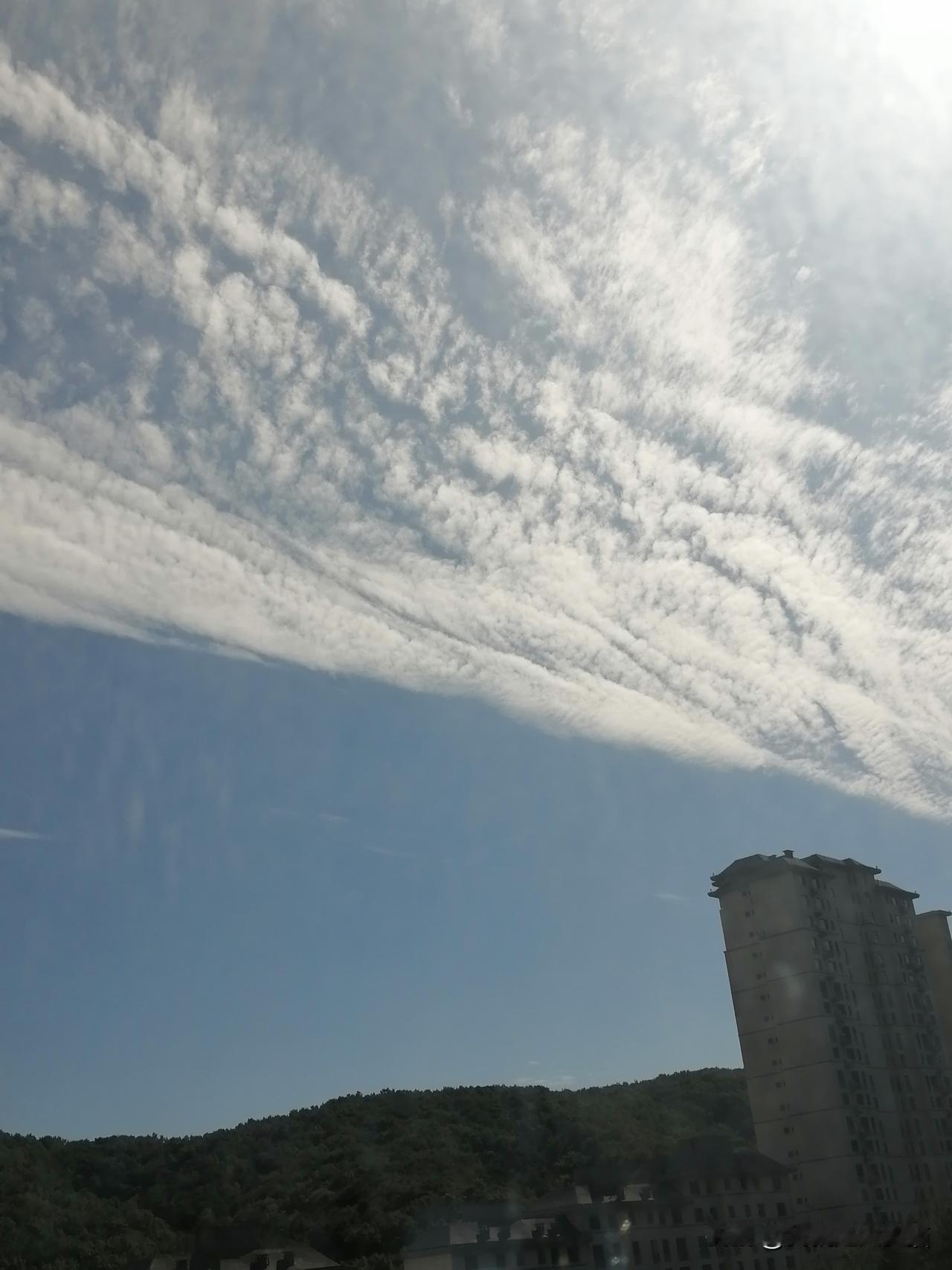 手机刚刚拍下的天空～云很任性，随心所欲，摆出各种姿势，舞动着神奇梦幻的身姿，曼妙