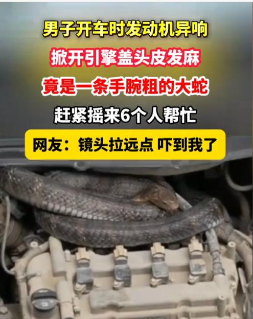 5月23日深圳新闻网报道，贵州一位司机大哥，行驶时听见奇怪动静，一开始觉得车子零