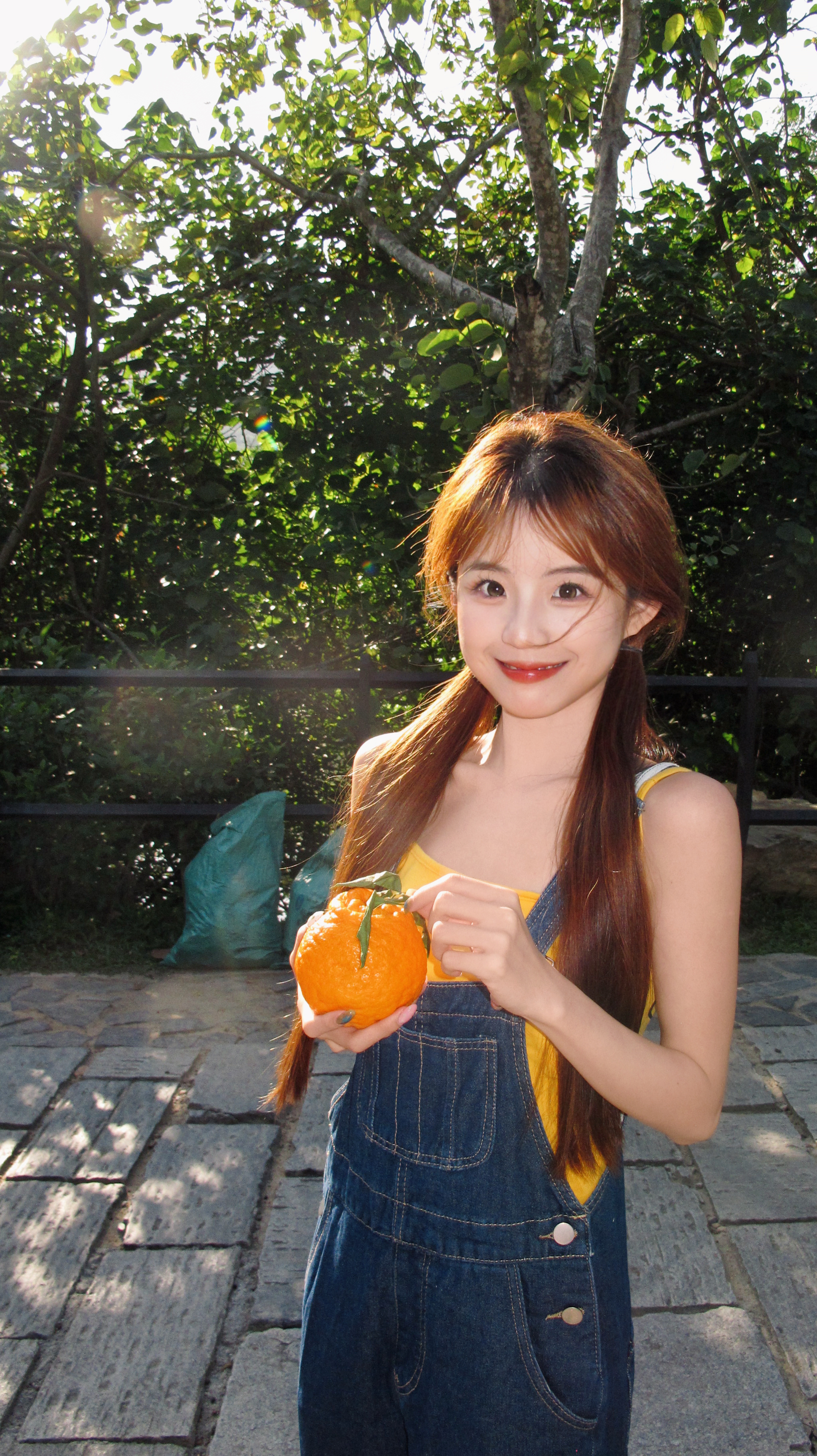 橘子味夏日🍊 